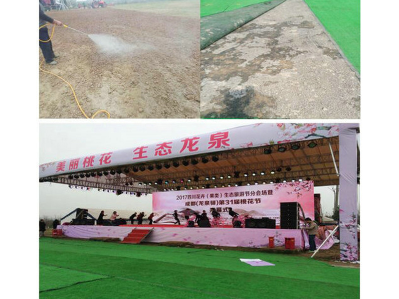 37四川龙泉驿某观光场地草坪固化