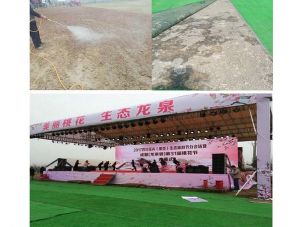 Lawn solidification at a tourist venue in Longquanyi, Sichuan